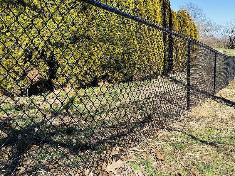 chain link fence  Martin Tennessee